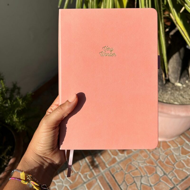 bullet journal color pesca